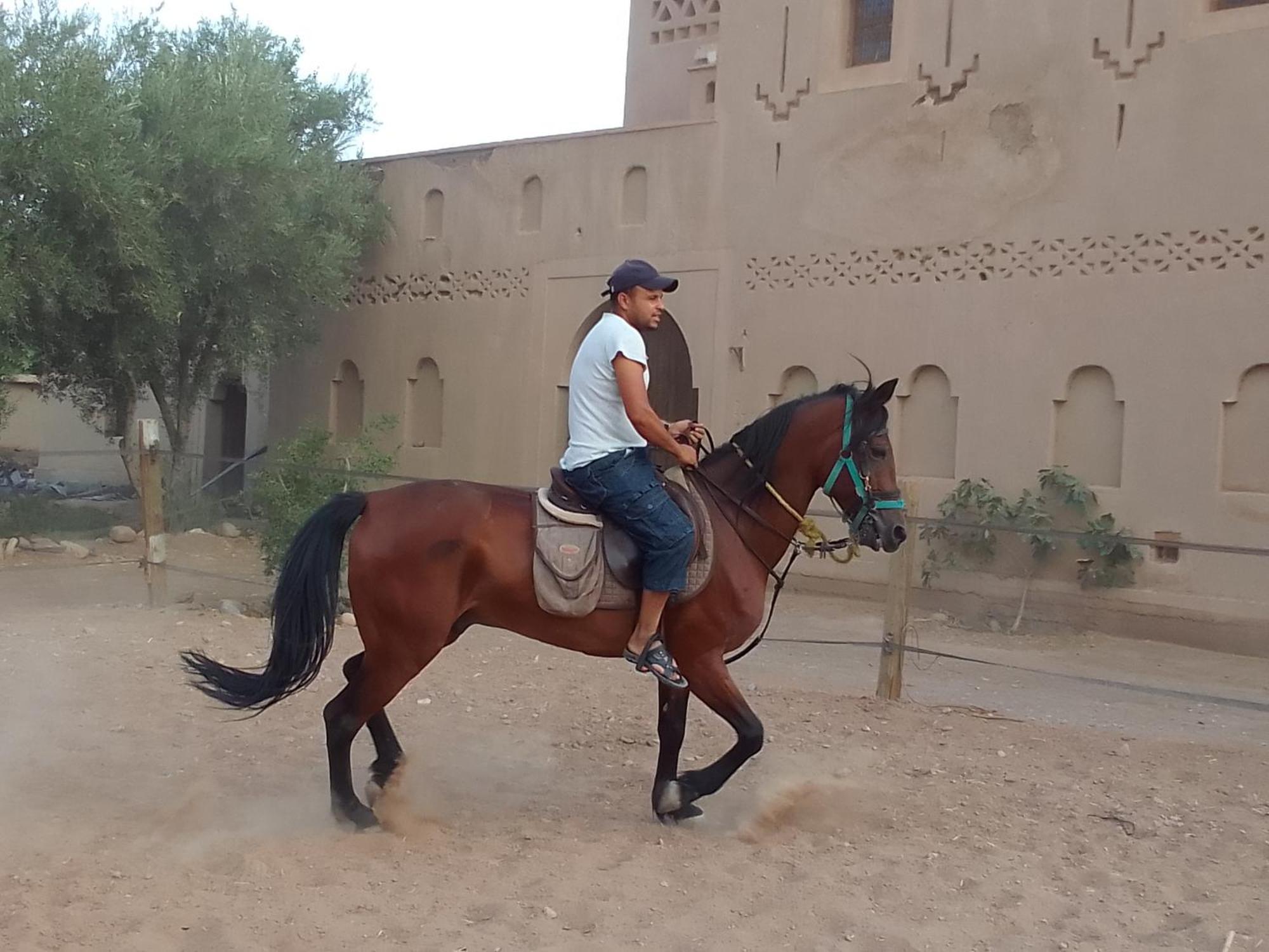 Hotel Kasbah Dar Dmana Skoura Esterno foto