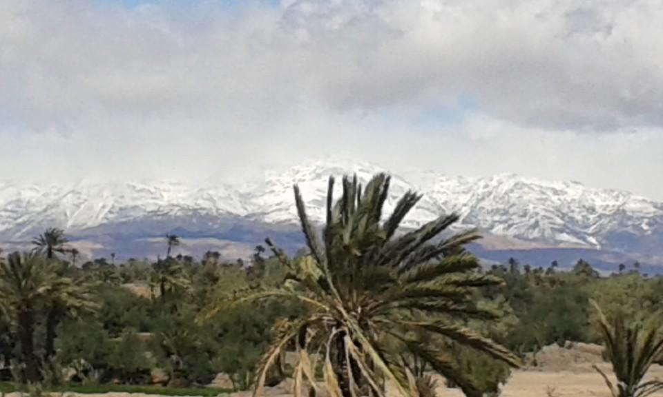 Hotel Kasbah Dar Dmana Skoura Esterno foto